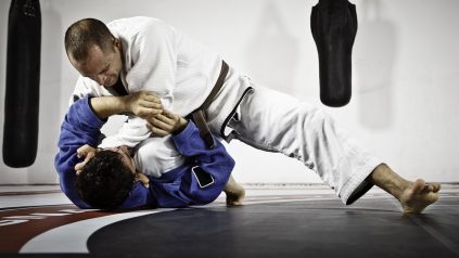 martial arts injuries