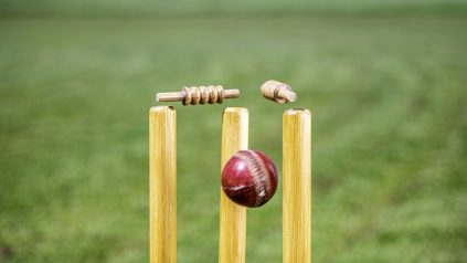 cricket for beginners