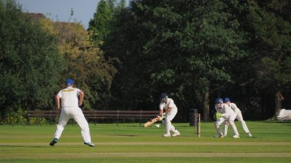 Coronavirus cricket