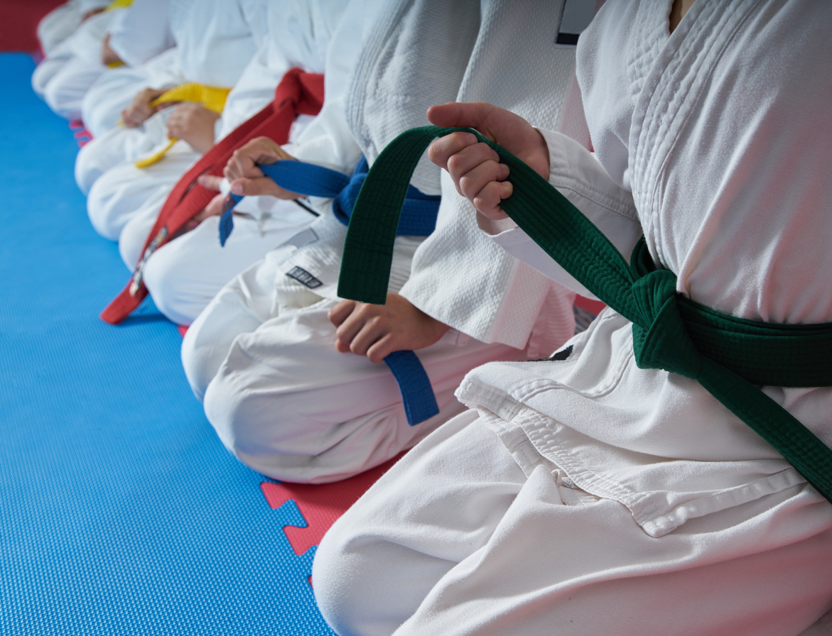 KARATE BELT white yellow orange purple blue green brown NEW! Martial Taekwondo 