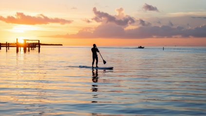 best paddle boards for beginners