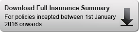 Download Insurance Summary