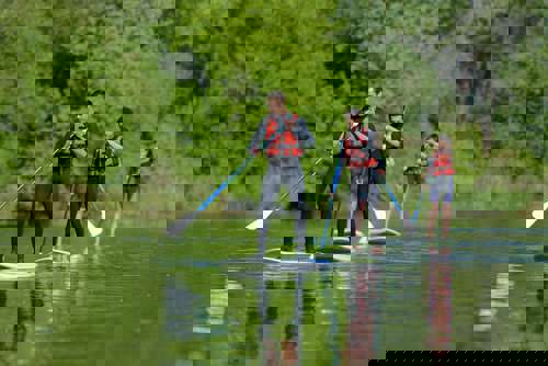 best paddleboards for beginners