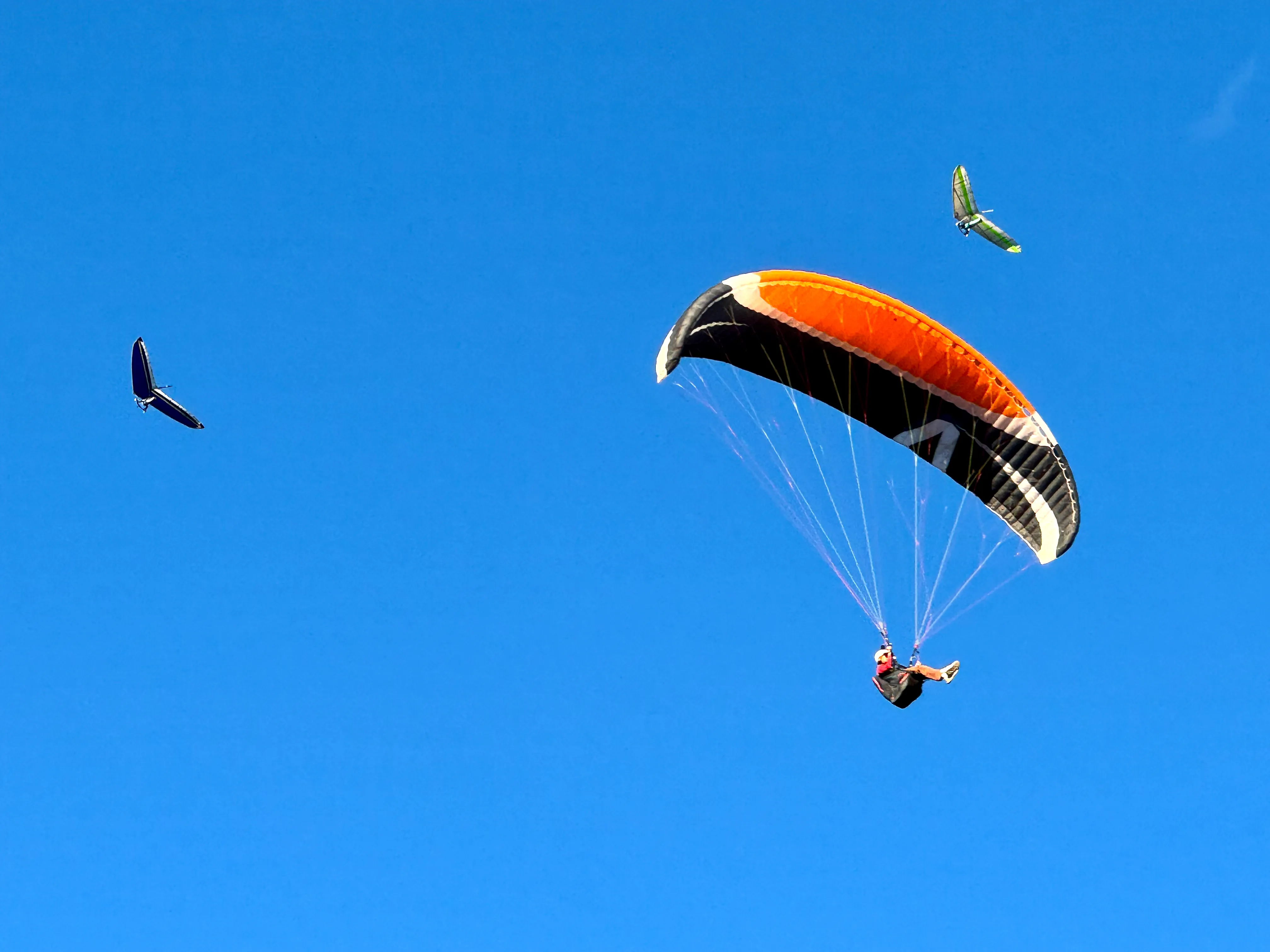 Hang gliding vs paragliding: Choosing which is right for you